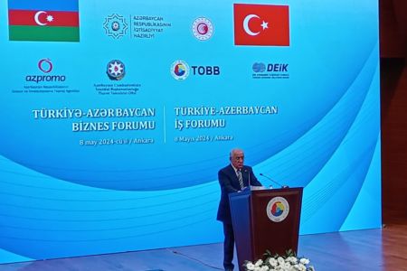 Azərbaycanın Baş naziri türkiyəli investorları bərpaolunan enerji sahəsində əməkdaşlığa çağırıb
