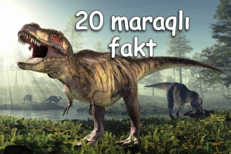 Dinozavrlarla bağlı 20 maraqlı məlumat