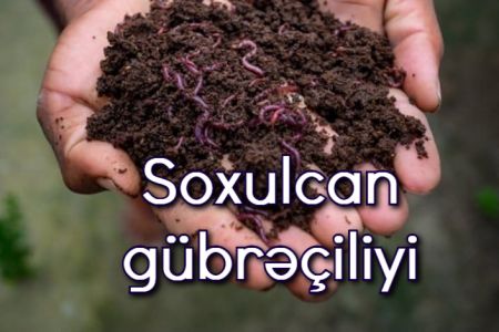 Soxulcan gübrəçiliyi (vermikompost), Soxulcan gübrəsi necə istehsal olunur?
