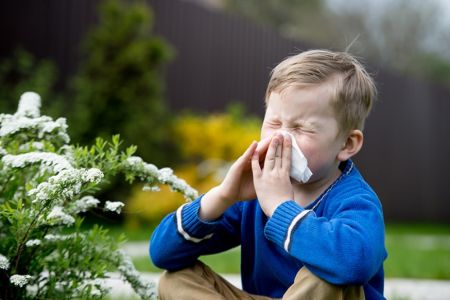 Uşaqlarda qida allergiyasının əlamətləri