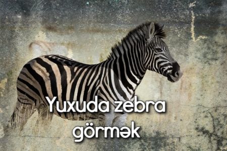 Yuxuda zebra görmək nə anlama gəlir?