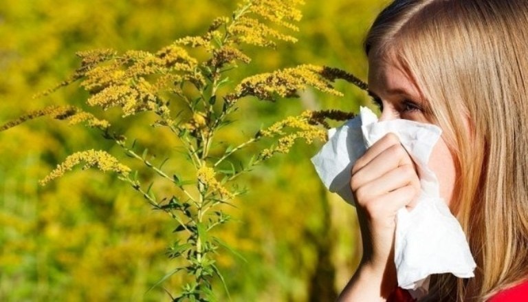 Allergiya haqqında