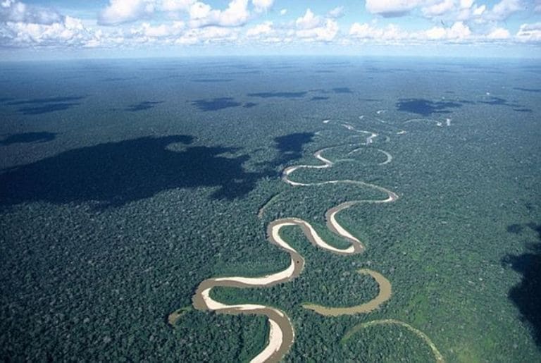 Amazon meşələri