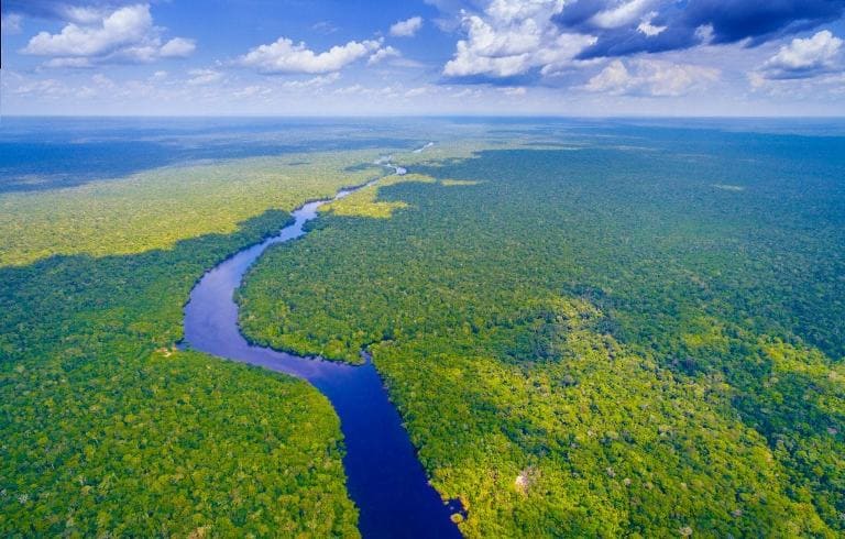 Amazon yağış meşələri