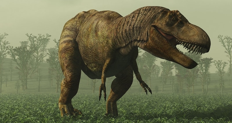 Argentinasaurus