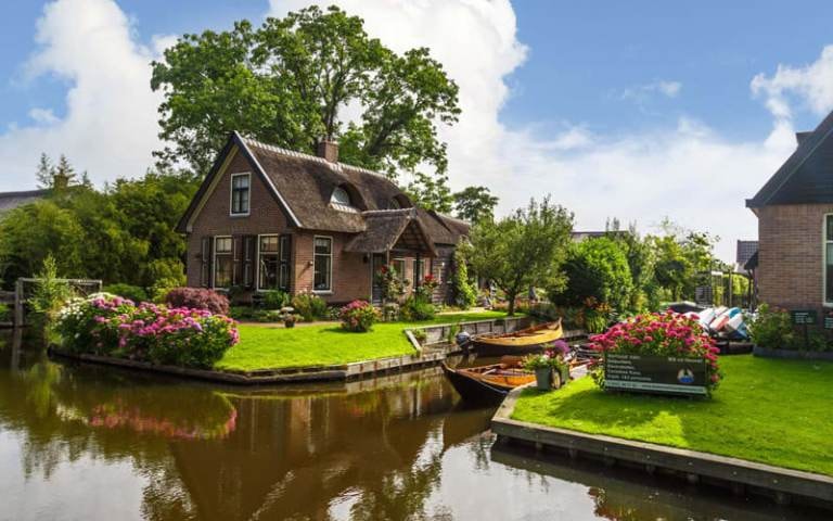 Gyethorn, Hollandiya