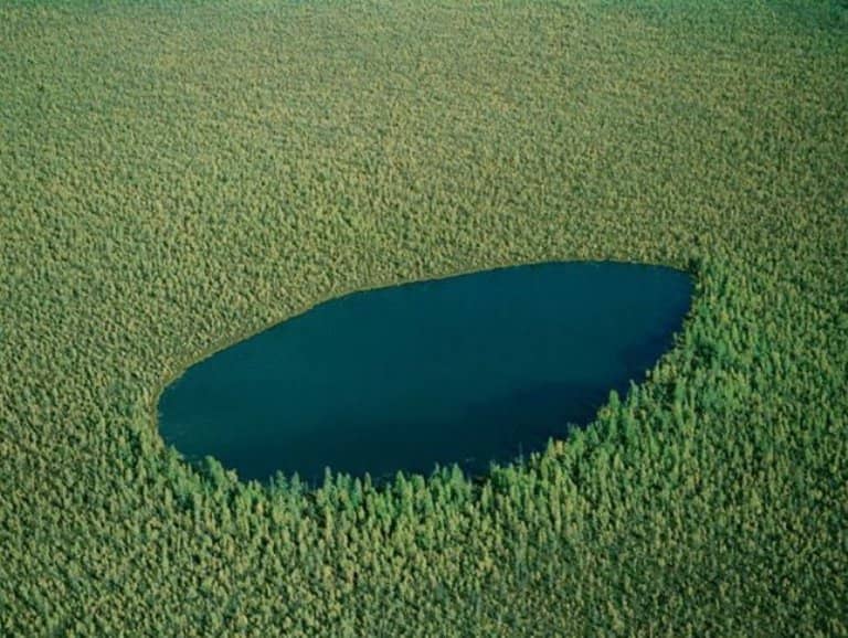 Rusiyada yerləşən Meşə gölü