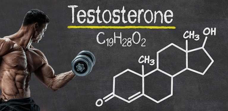 Testosteron hormonu və əzələ böyüməsi