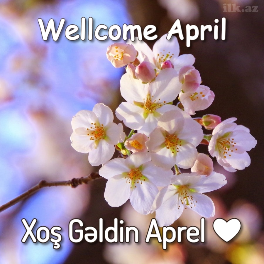 Wellcome April